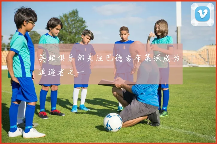 英超俱乐部关注巴德吉布莱顿成为追逐者之一