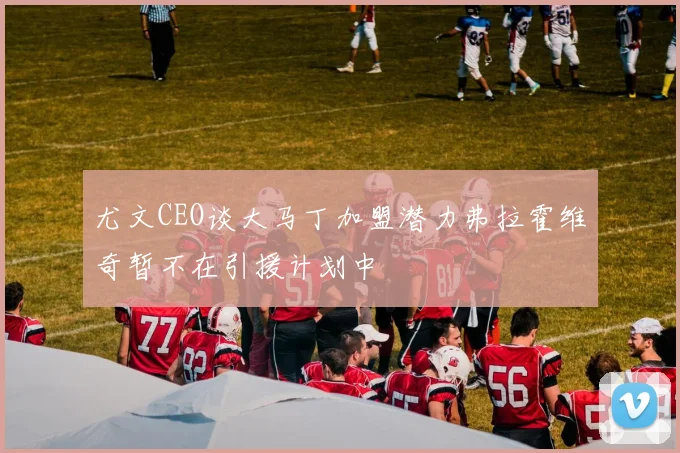 尤文CEO谈大马丁加盟潜力弗拉霍维奇暂不在引援计划中